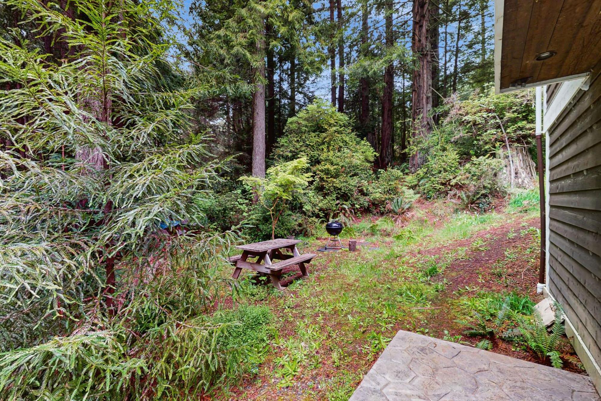 Serene Redwood Retreat Arcata Εξωτερικό φωτογραφία