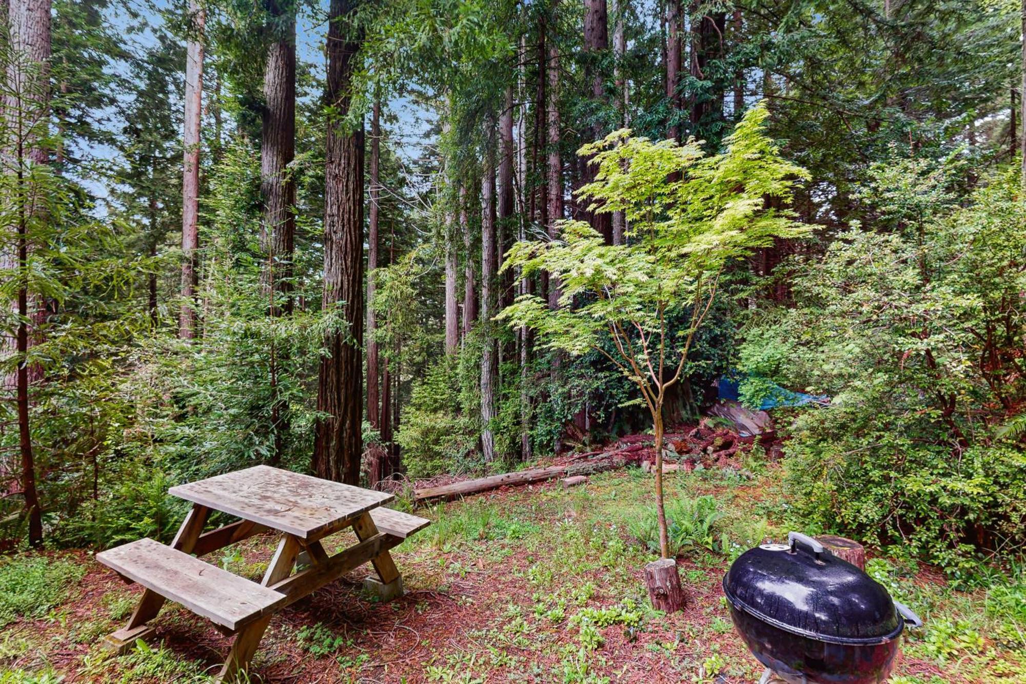 Serene Redwood Retreat Arcata Εξωτερικό φωτογραφία