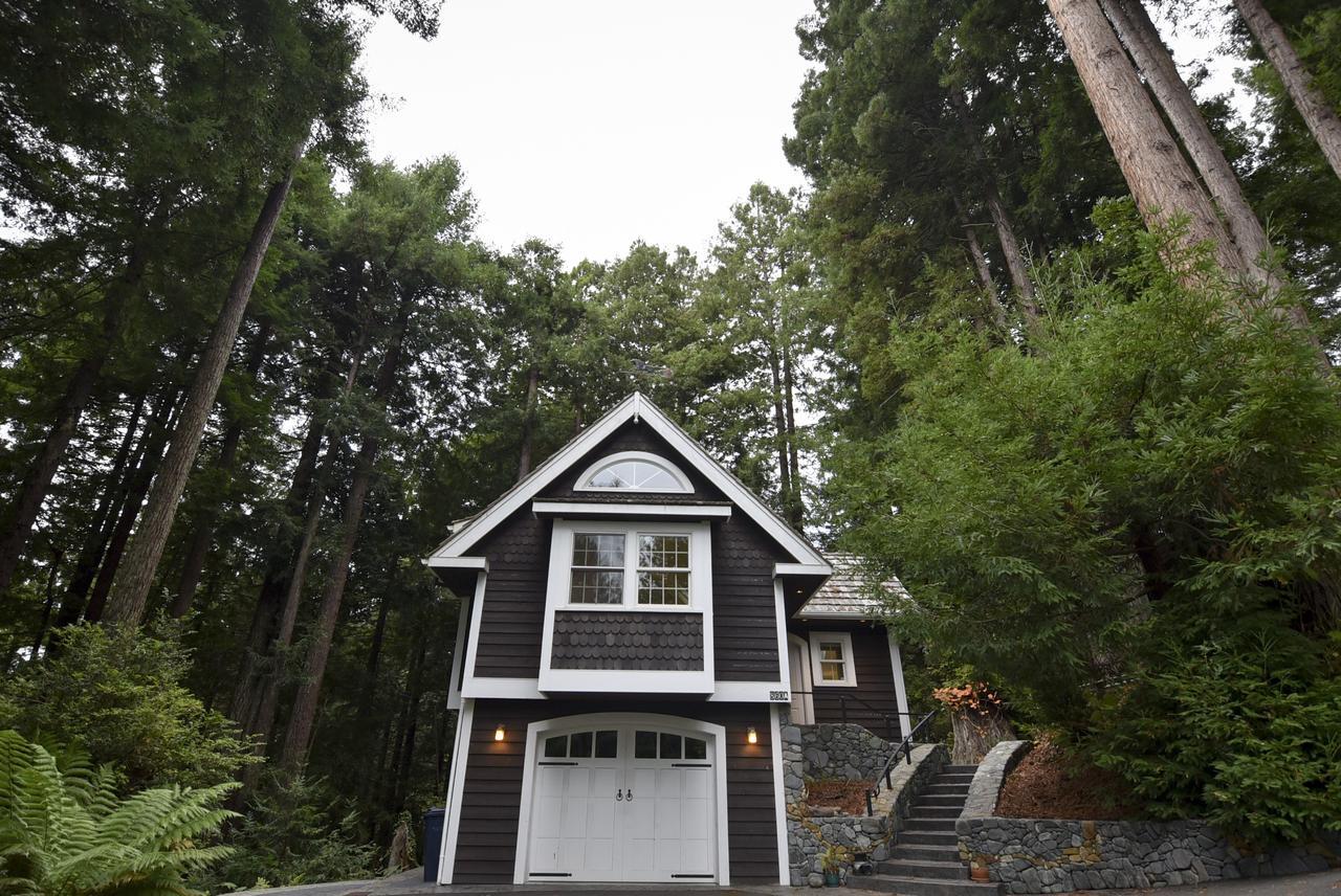 Serene Redwood Retreat Arcata Εξωτερικό φωτογραφία