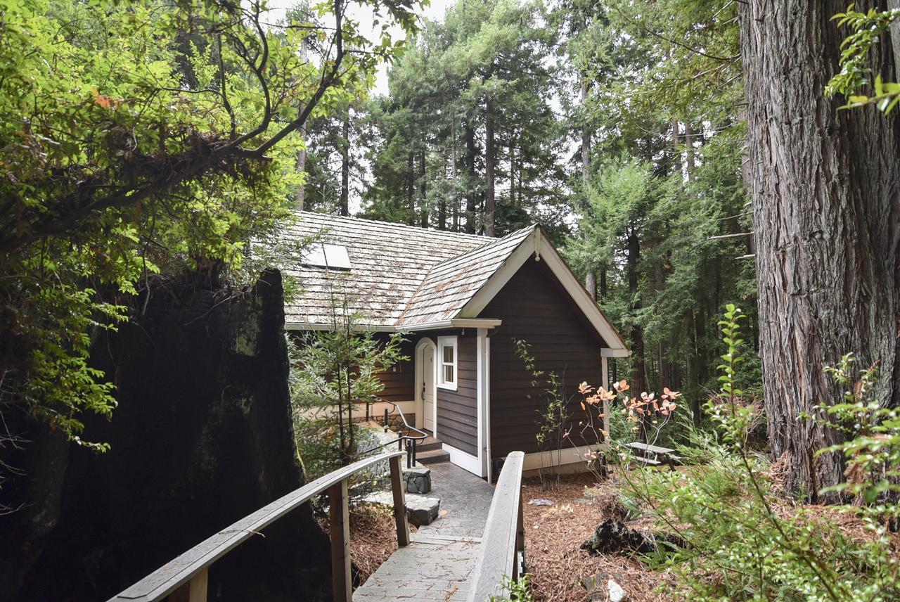 Serene Redwood Retreat Arcata Εξωτερικό φωτογραφία